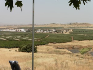 UNDOF Outpost at the Syrian border.