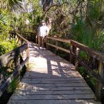 Big Cypress Bend Boardwalk, Fakahatchee Strand State Park