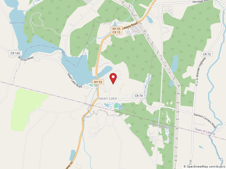 Map showing Swan Lake, New York, United States of America