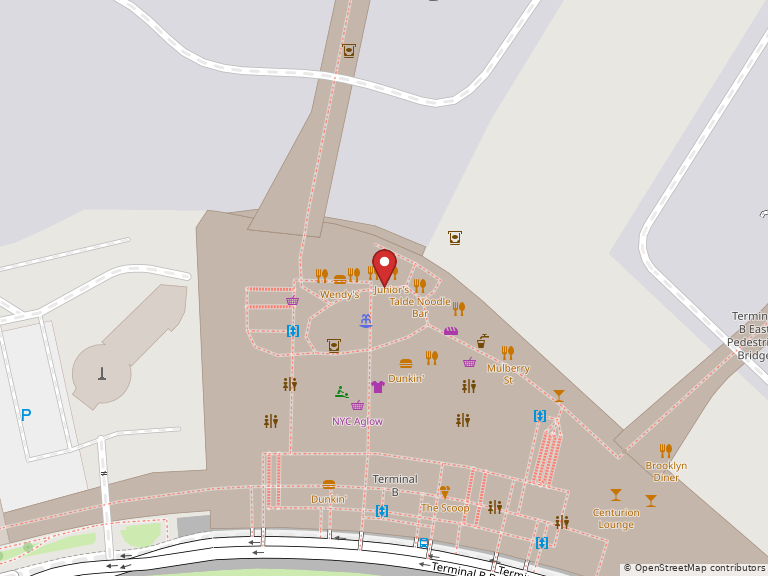 Map showing LaGuardia Airport, Queens, NY, 11369, United States