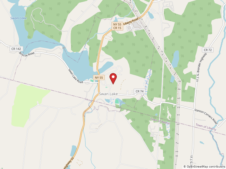 Map showing Swan Lake, NY 12783, USA